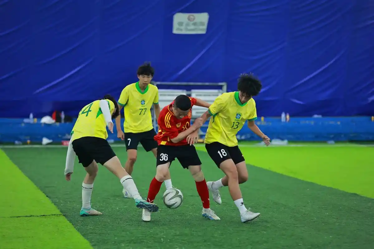 雨燕体育直播在线直播